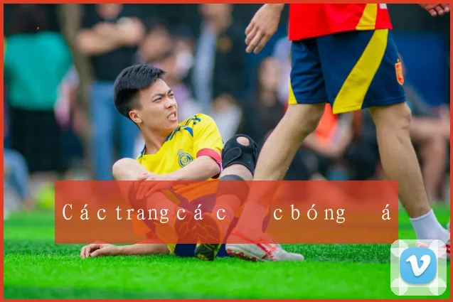 Các trang cá cược bóng đá