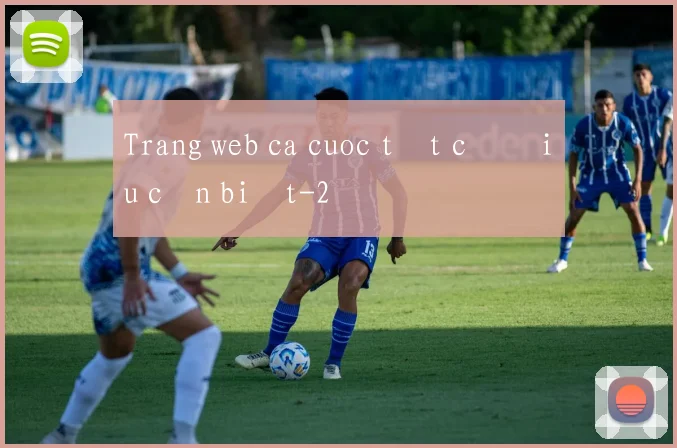 Trang web ca cuoc tất cả điều cần biết