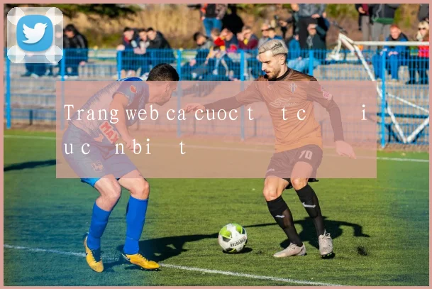 Trang web ca cuoc tất cả điều cần biết