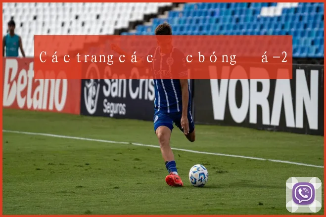 Các trang cá cược bóng đá